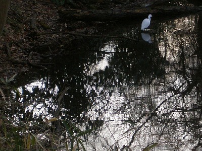 b0138522_1955264.jpg