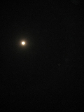 e0156222_16351186.jpg