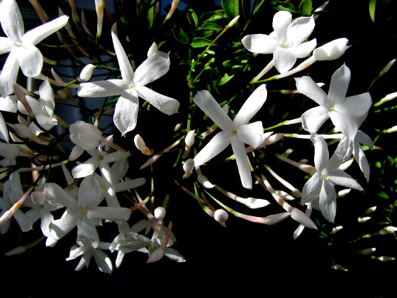 a0004023_1655893.jpg