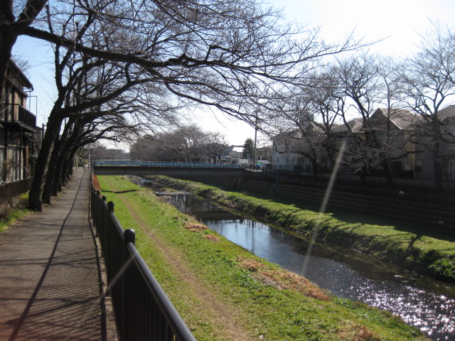 b0170128_18381534.jpg