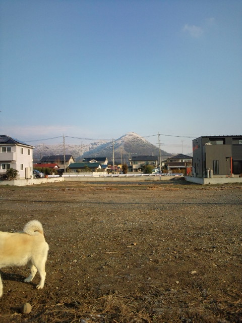 d0077029_16102275.jpg