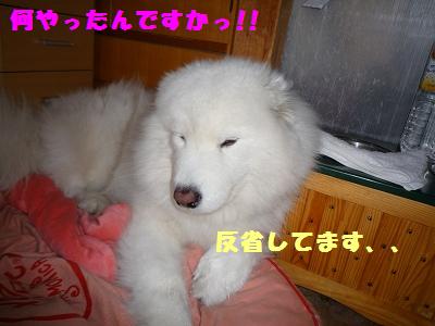 e0196135_0523480.jpg