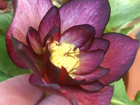 c0025140_20134892.jpg