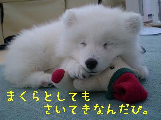 a0166954_16255917.jpg