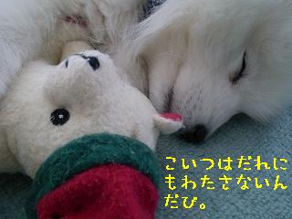 a0166954_16293651.jpg