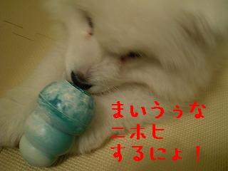a0166954_22173278.jpg