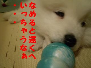 a0166954_22185049.jpg