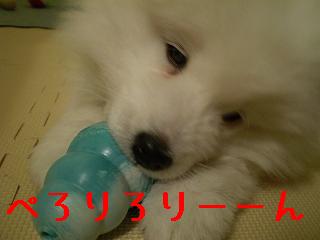 a0166954_22255447.jpg