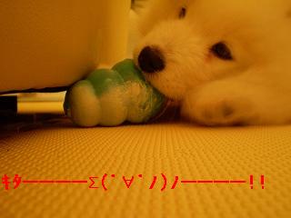a0166954_22304516.jpg