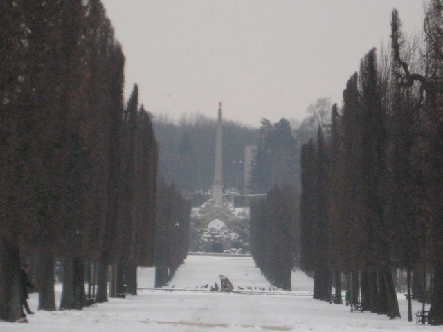 e0116960_1993492.jpg