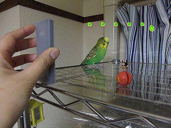 f0196665_020778.jpg
