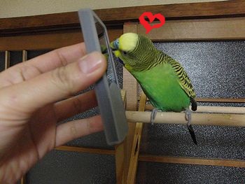 f0196665_0281986.jpg