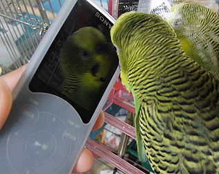 f0196665_0313771.jpg