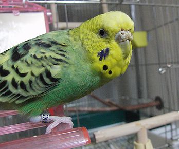 f0196665_23275719.jpg