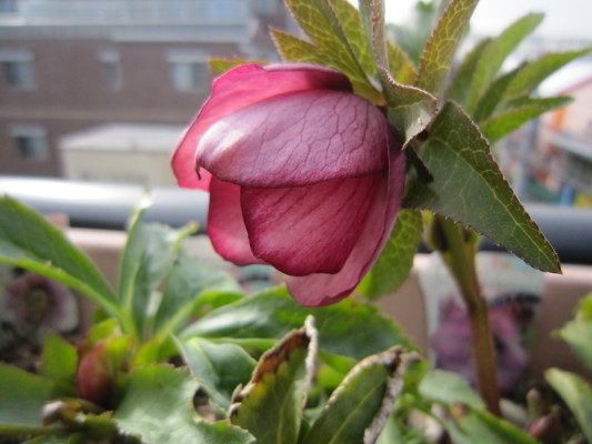 c0202870_103851.jpg