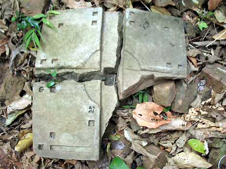 f0157870_22322531.jpg