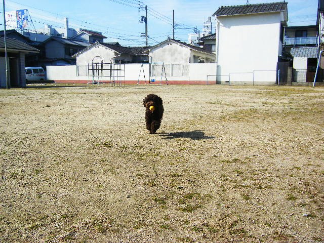 f0207970_20101438.jpg