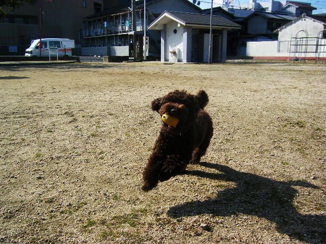 f0207970_2012192.jpg