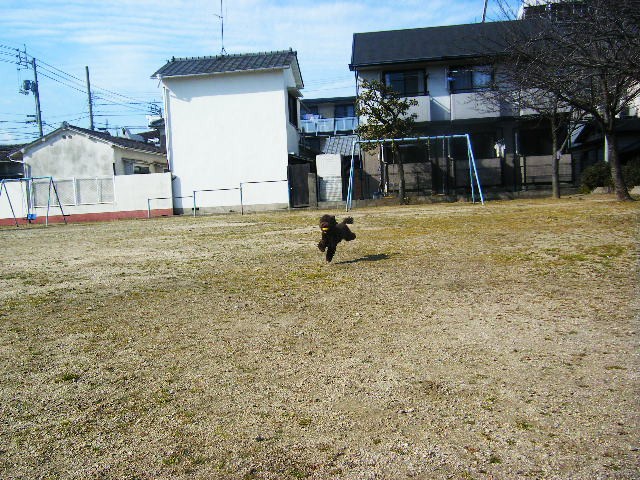 f0207970_20192338.jpg