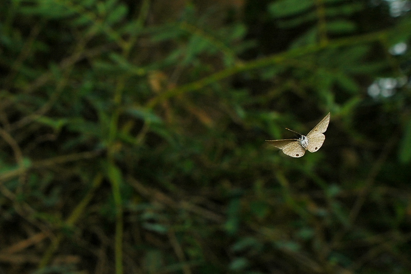 f0090680_21461254.jpg