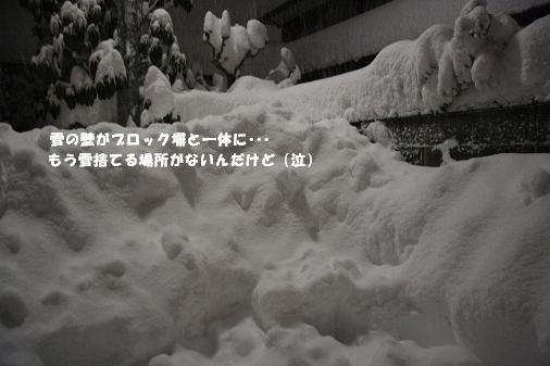 d0152182_18262019.jpg