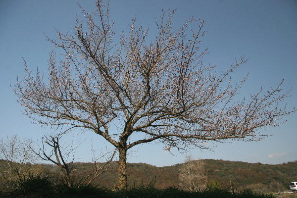 b0171185_22271516.jpg