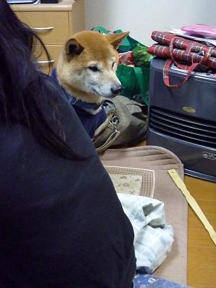 c0123890_22374949.jpg