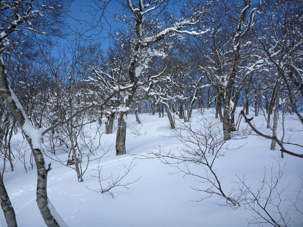 a0043193_15123547.jpg