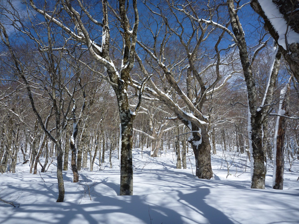 a0043193_151277.jpg