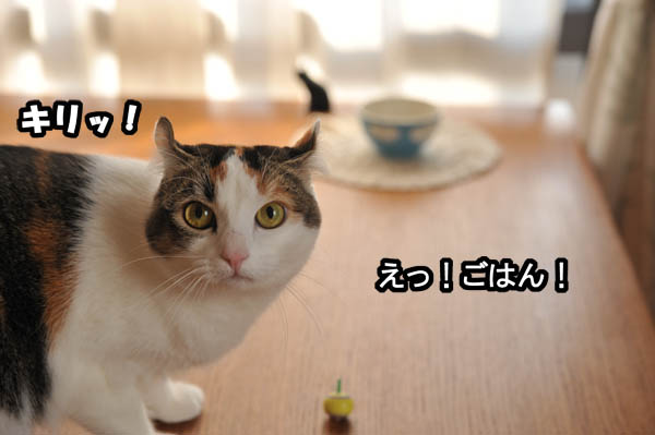 b0141397_11445150.jpg