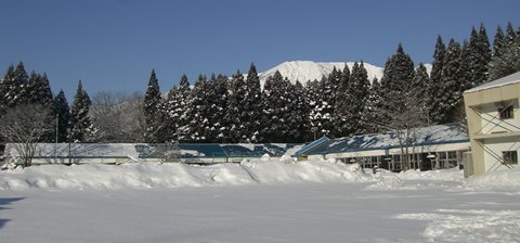 a0138198_10435651.jpg