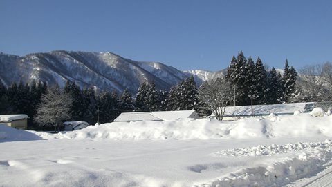 a0138198_1173464.jpg
