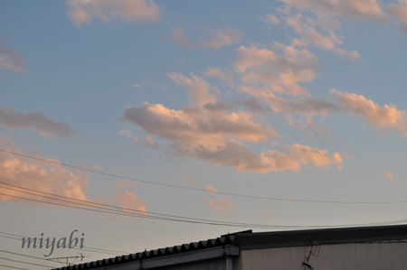a0161698_19301227.jpg