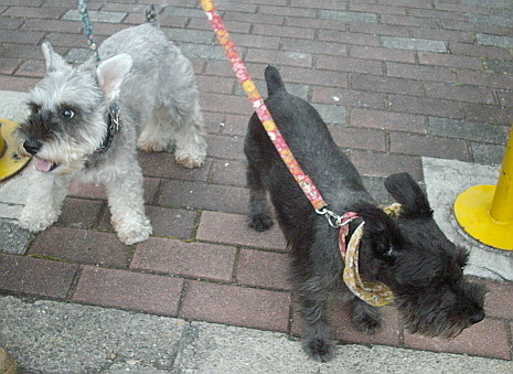 c0138198_10543529.jpg