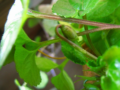 c0227800_820541.jpg