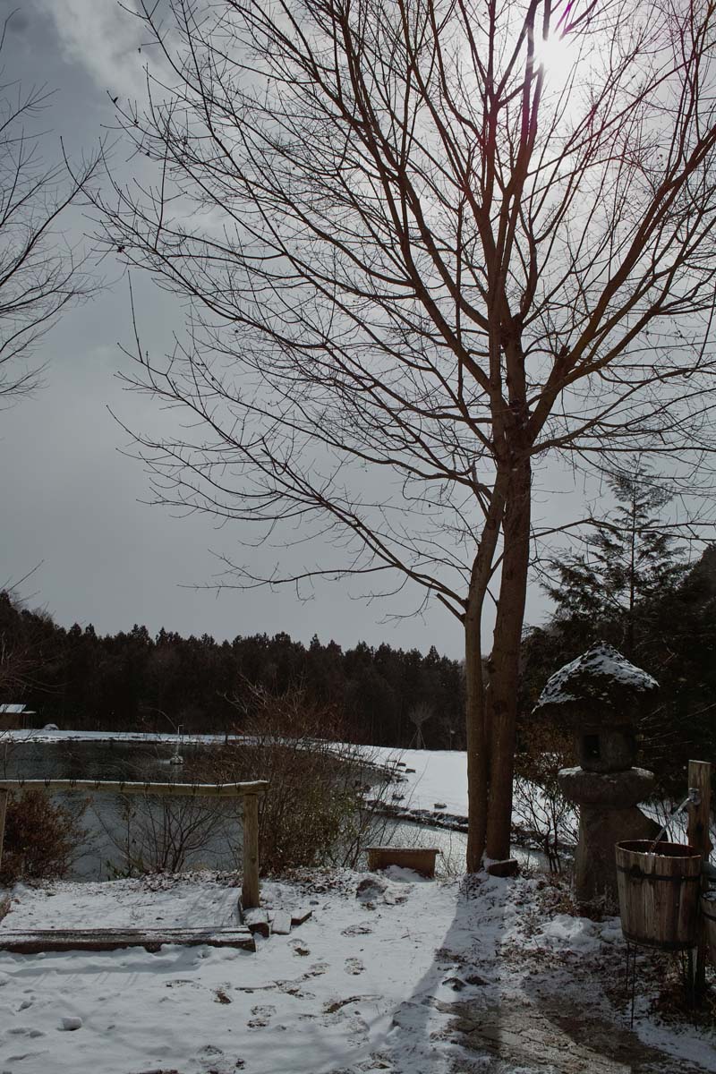 c0095801_2237338.jpg