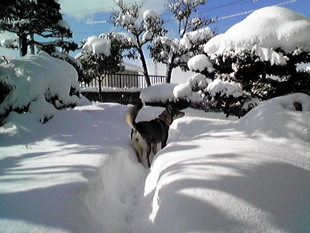 f0079202_14331269.jpg