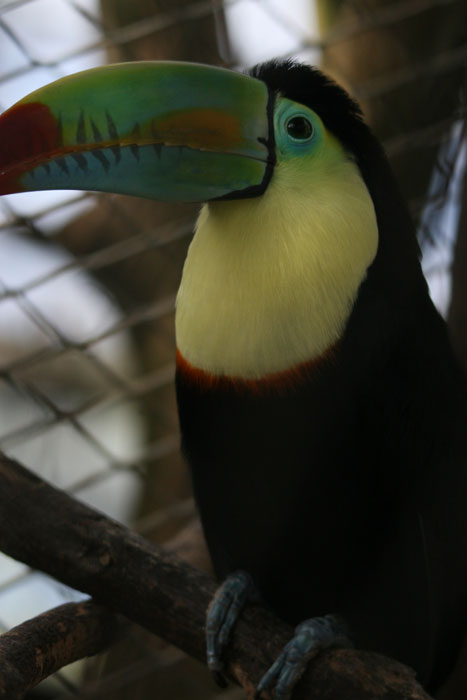 a0012103_71745100.jpg