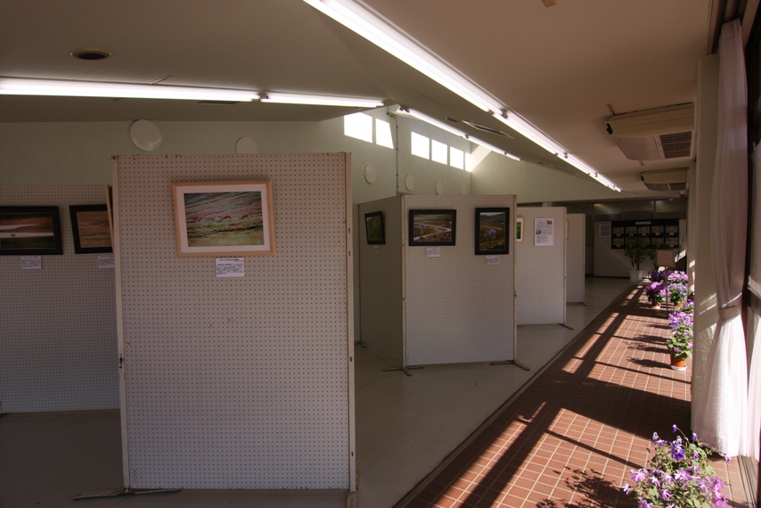 b0146723_1817396.jpg