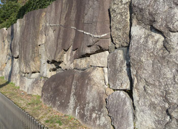 b0035734_14244871.jpg
