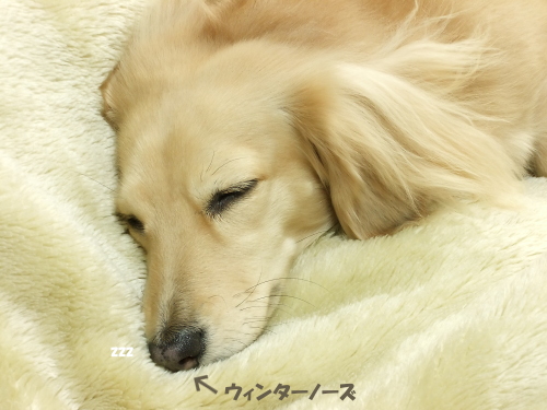 f0206134_1234312.jpg