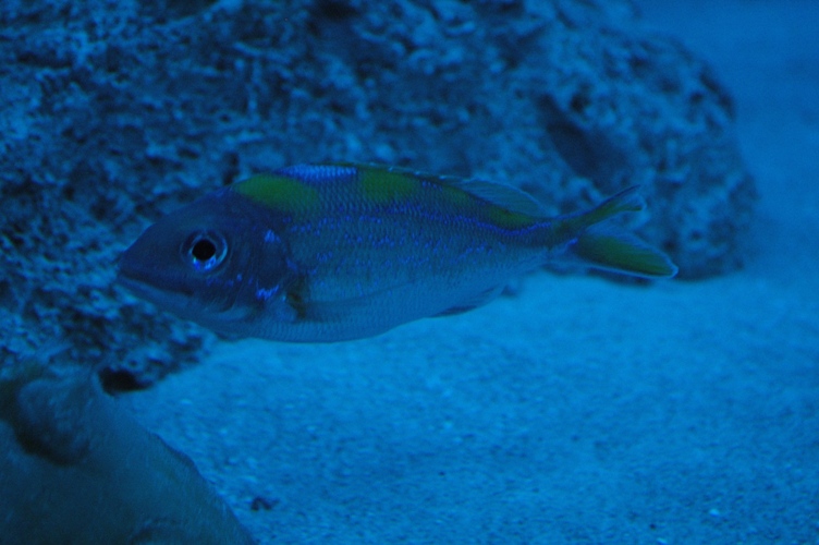 c0106036_21181343.jpg