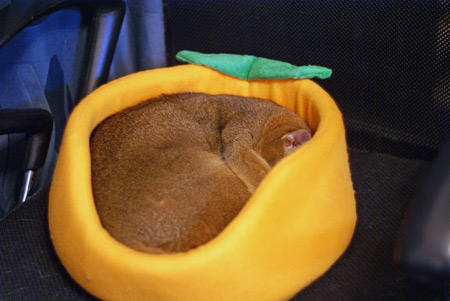 c0132438_2223549.jpg