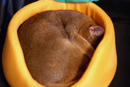 c0132438_22244055.jpg