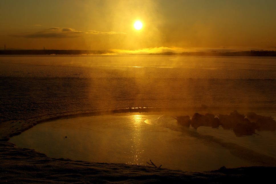 f0152939_7541724.jpg