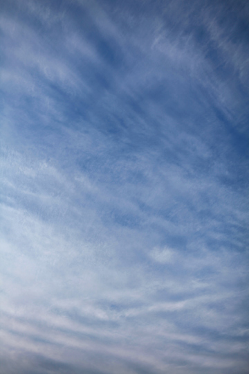 d0008146_9434640.jpg