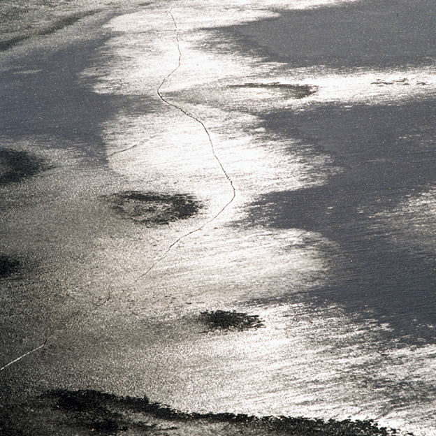 f0147048_0515766.jpg