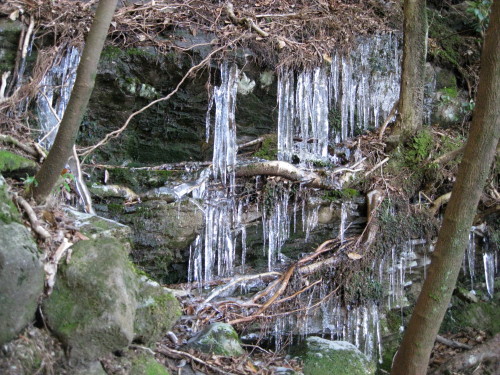 c0179351_19551826.jpg