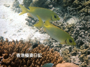 f0190653_9101174.gif