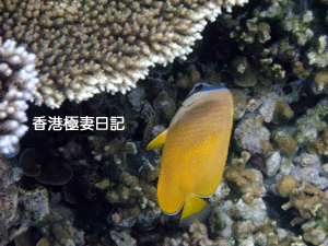 f0190653_9103176.gif